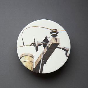 Magpie Wall Vase