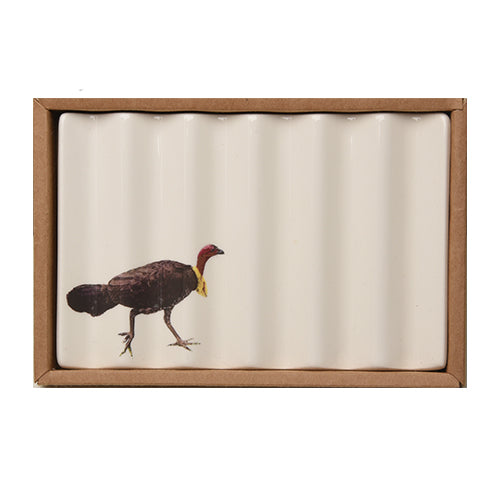 Soap Dish with Scrub Turkey